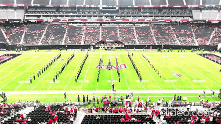 Unlv Crowd Field GIF