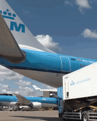 Unnoticed Snakes On A Plane GIF