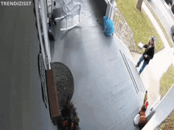 Unruly Amazon Delivery Guy Caught On Camera GIF