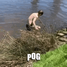 Unusual Pog Reaction At A River GIF