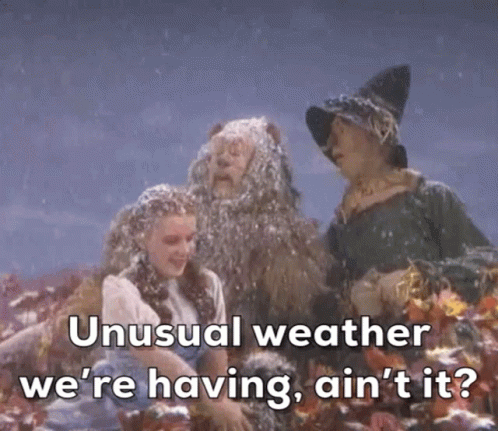 Unusual Weather We 'Re Having Ain 'T It ? Is Written On A Picture Of Wizard Of Oz Characters GIF