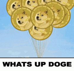 Up Whats Up Doge GIF