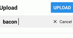 Upload Bacon Invalid URL GIF