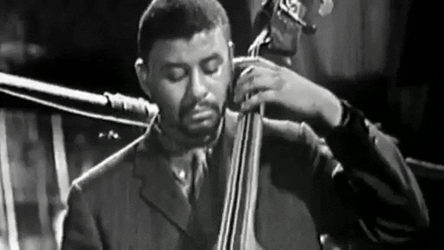 Upright Bass Man Side Eye Meme GIF