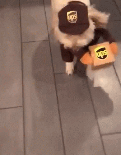 Ups Delivery Driver Surrounded By Hearts GIF