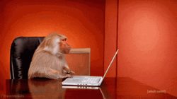 Upset Monkey Drop Laptop GIF
