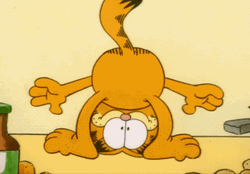 Upside Down Garfield GIF