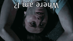 Upside Down Lost Guy Where Am I GIF