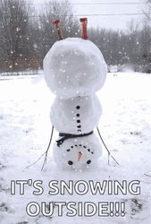 Upside Down Snowman GIF