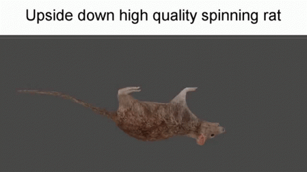 Upside Down Spinning Cartoon Rat GIF