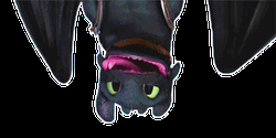 Upside Down Toothless GIF