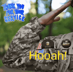 Us Army GIF