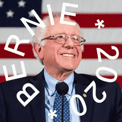 Us President Bernie Sanders GIF