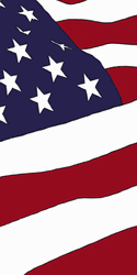 Usa Flag American Flag Stars GIF
