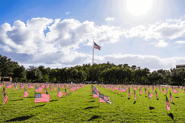 Usa Flag American Flag Usa GIF
