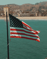 Usa Flag Droning American GIF