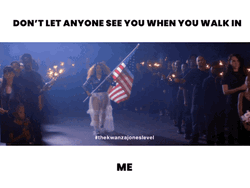 Usa Flag Meme Reaction  GIF