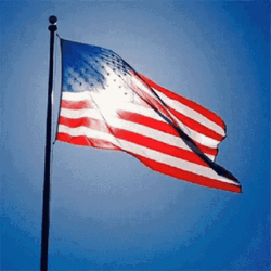 Usa Flag Red White And Blue Giff GIF