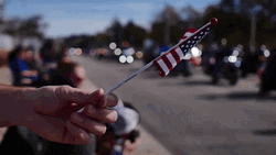 Usa Flag Road Side GIF