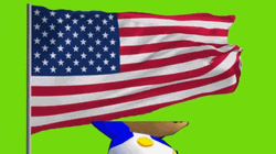 Usa Flag Super Mario Jumping GIF