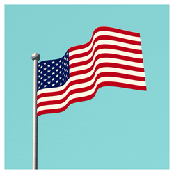 Usa Flag Wave GIF