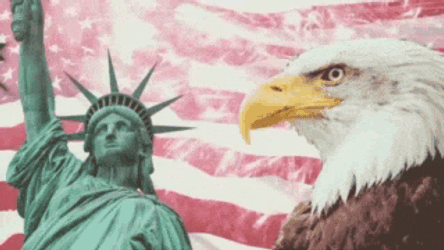 Usa GIF