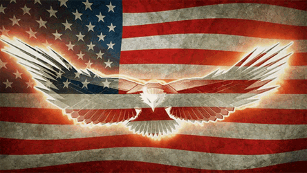 Usa United States Of America GIF
