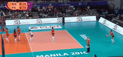 Usa Volleyball Power Serve  GIF
