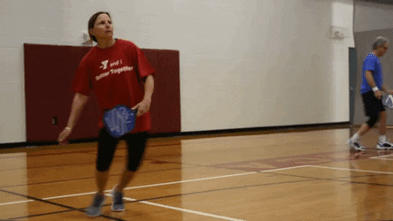 Using The Best Pickleball Paddle Meme GIF