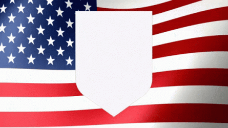 Usmnt Logo And The American Flag GIF