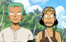 Usopp Asking What GIF