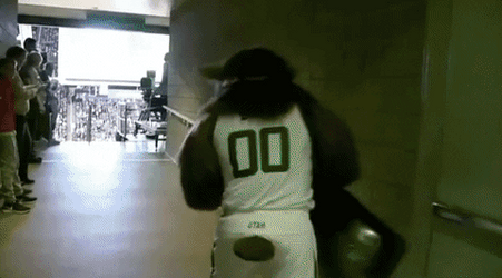 Utah Jazz Mascot Slide From Bleachers GIF