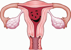Uterus Filled With Blood GIF