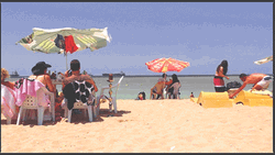 Vacation Beach Cinemagraph