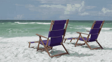 Vacation Charleston GIF