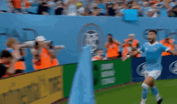 Valentín Castellanos Slap Flag GIF