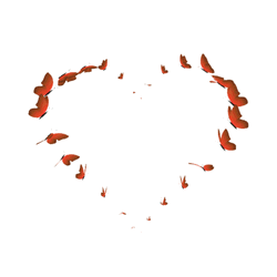 Valentine Day Red Butterflies Forming Heart GIF