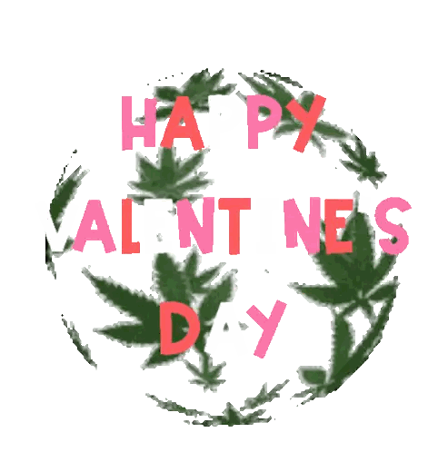 Valentine's Day Card With Marijuana Leaves Sticker