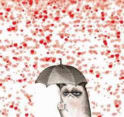 Valentine's Heart Rain Grumpy Cat GIF