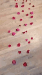 Valentine's Surprise T-Rex Bed GIF