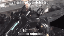 Valorant Opinion Rejected GIF