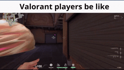 Valorant Players Be Like Video Game Screen GIF