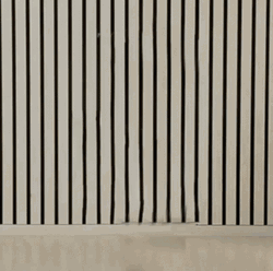 Vanishing Ellsworth Kelly Driving Wambulance GIF