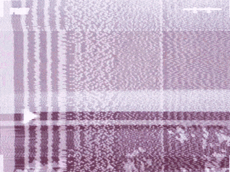 Vaporwave Nft GIF