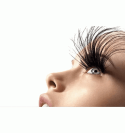 Variety Of Eyelashes  GIF