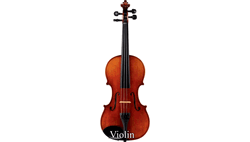 Various Violin Clip GIF