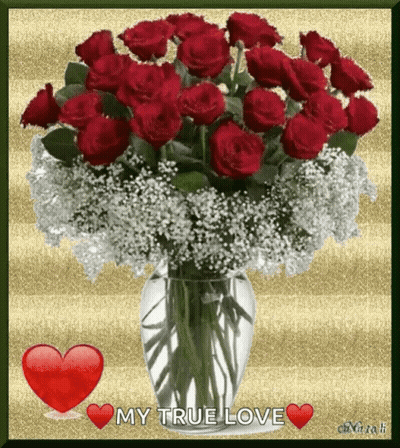 Vase Of Red Roses And Baby's Breath Saying My True Love GIF
