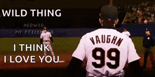 Vaughn Borderlands GIF