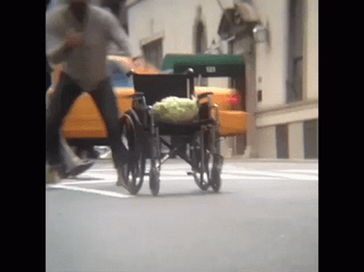 Vegetable On Wheelchair GIF