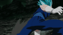 Vegito Fight Punch GIF